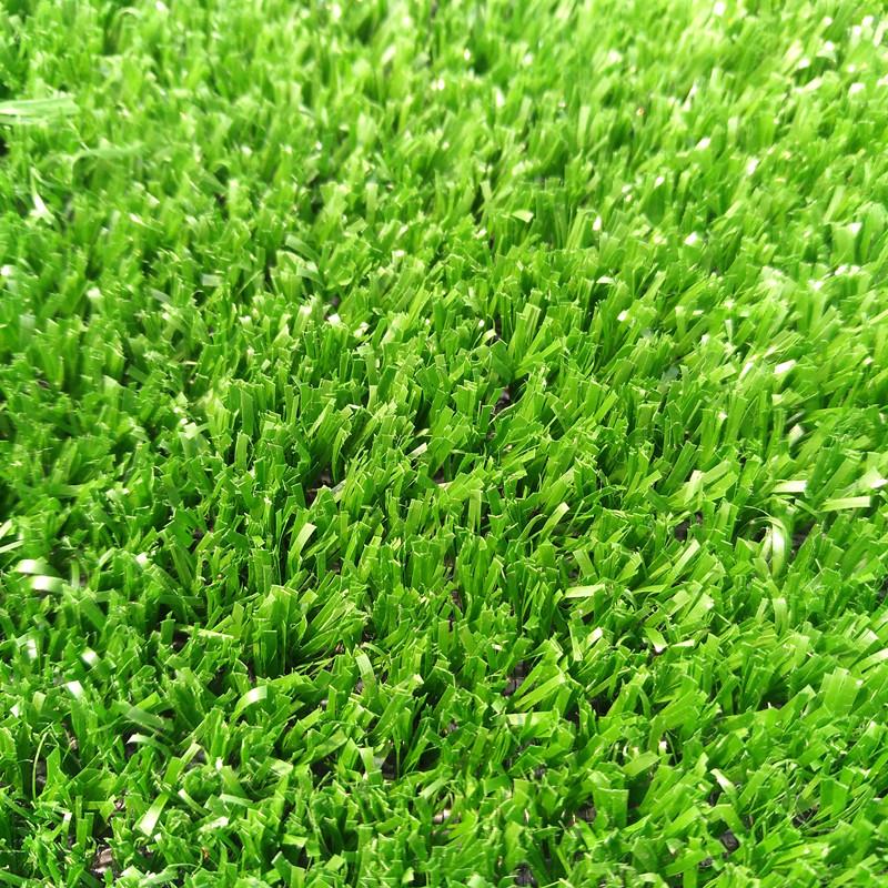 artificial lawn and pets
