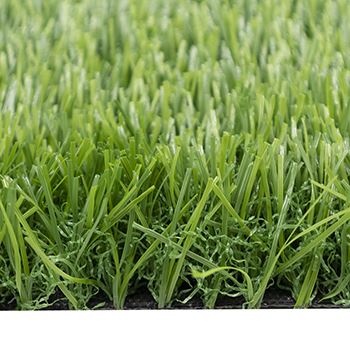 CYT_0408==.jpg CYT_0408==.jpg