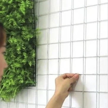 Green plant wall panel installation Green plant wall panel installation