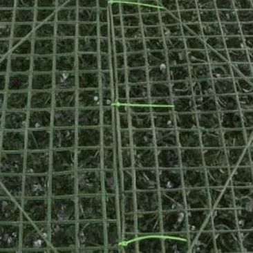 Green wall installation Green wall installation