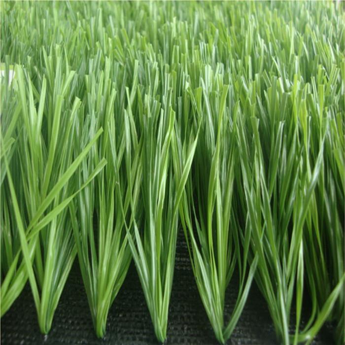 Fake Grass