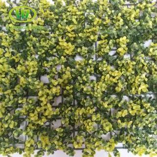 گرین سجاوٹ خوبصورت مصنوعی گیس وال ہاؤس گارڈن کمپنی شاپنگ مال پبلک جگہ