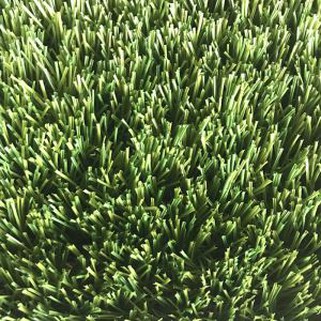 کھیل کے میدان گیس