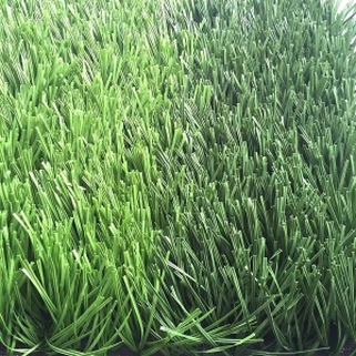 شفاف فٹ بال گھاس