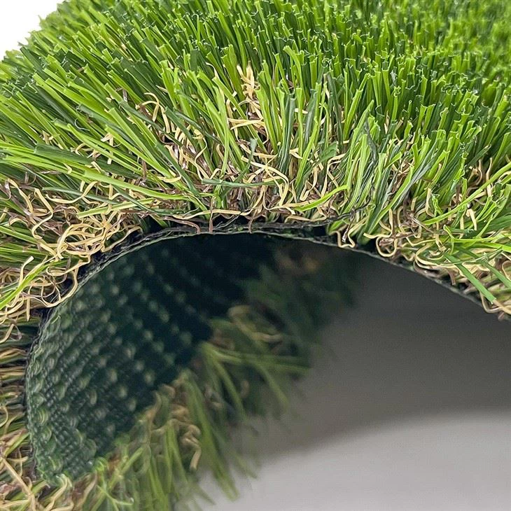 turf grass