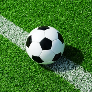 فٹ بال فیلڈ گھاس